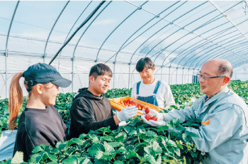 ビニールハウス内