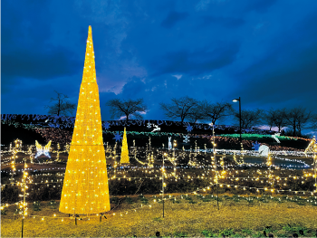 イルミネーションの景色