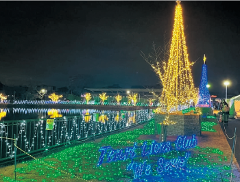 イルミネーション