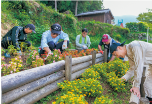 花壇に花を植える様子