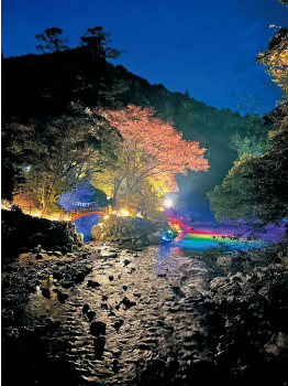 ライトアップされ幻想的な様子