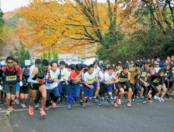 スタートを切る選手たち