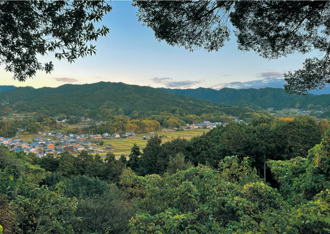 甘樫丘展望台からの眺望2