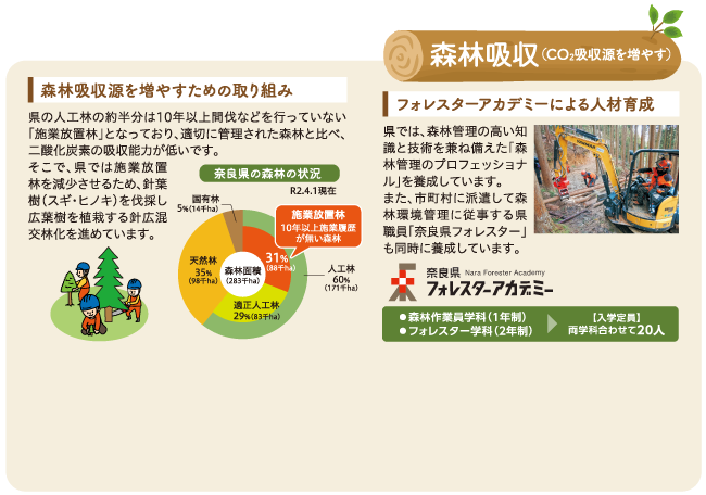 森林吸収（CO2吸収源を増やす）