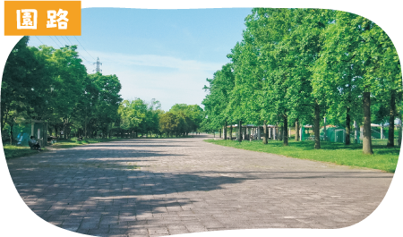 園路