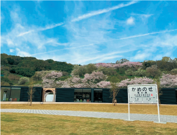 亀の瀬地すべり歴史資料室