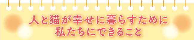 人と猫が幸せに暮らすために私たちにできること