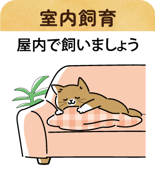 室内飼育　屋内で飼いましょう