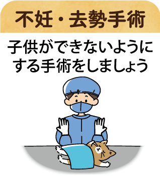 不妊・去勢手術　子供ができないようにする手術をしましょう