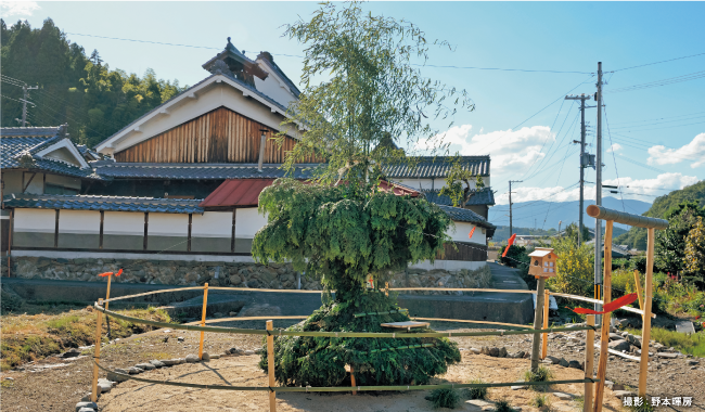 下市町新住のオカリヤ