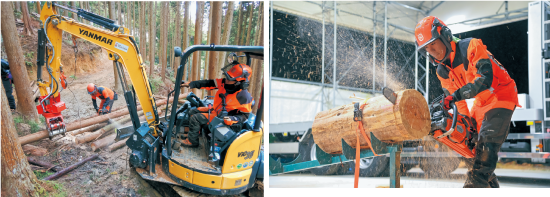 森の仕事・林業の様子