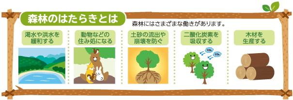 森林のはたらき
