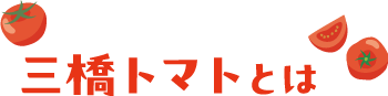 三橋トマトとは