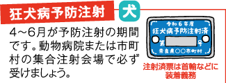 狂犬病予防注射