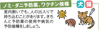 ノミ・ダニ予防薬、ワクチン接種