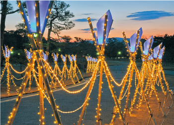 イルミネーション