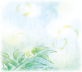 雨イラスト