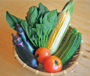 地域ならではの食