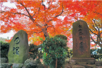 面塚「観世能発祥の地」