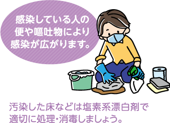 感染している人の便や嘔吐物により感染が広がります。汚染した床などは塩素系漂白剤で適切に処理・消毒しましょう。