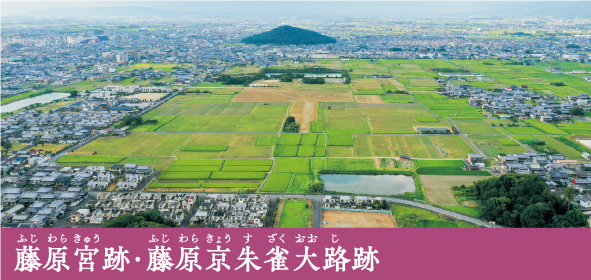 藤原宮跡・藤原京朱雀大路跡