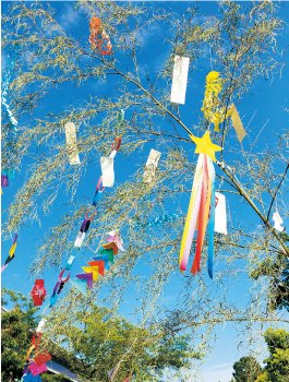 夕プロムナード2023