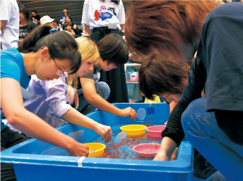 全国金魚すくい選手権大会奈良県予選大会