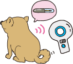 マイクロチップの読み取りイメージイラスト