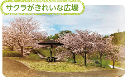 さくらがきれいな広場