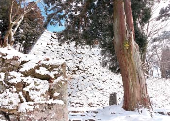 冬のハイキングに高取城跡へ行ってみよう