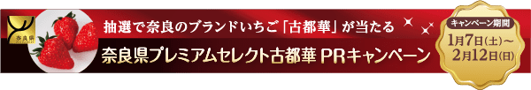 古都華PRキャンペーン