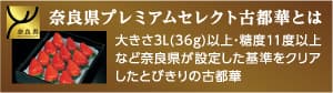 奈良県プレミアムセレクト古都華とは