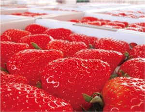 1寺戸(てらど)地区