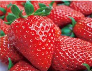 3法貴寺(ほうきじ)地区