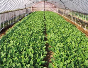 7伊那佐東部(いなさとうぶ)地区