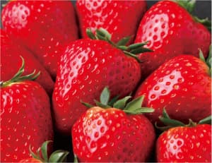 9上庄(かみしょう)・梨本(なしもと)地区