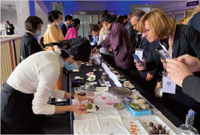 そに木霊リゾート垰
