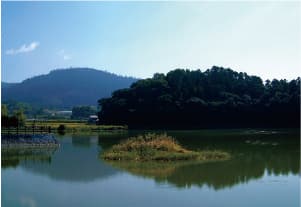 箸陵(箸墓古墳)・上ツ道