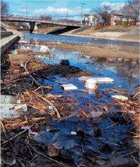 海洋プラスチックごみ