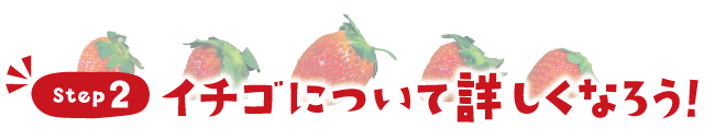 ステップ2　イチゴについて詳しくなろう!