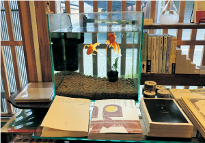 金魚ストリート2