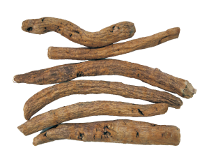 シャクヤクの根