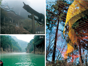 村内無料周遊観光バス