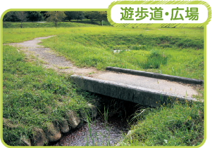 遊歩道・広場