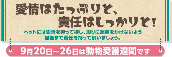 愛情はたっぷりと！責任はしっかりと！9月20日～26日は動物愛護週間です