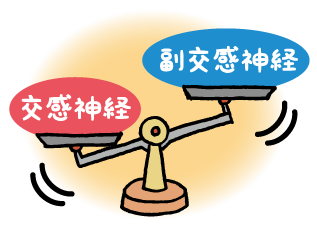交感神経と副交感神経の天秤イラスト