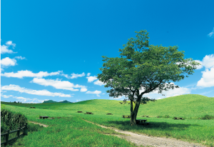 遊びも仕事も奥大和2