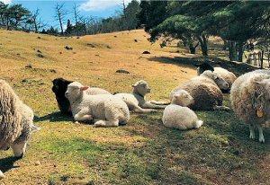 遊びも仕事も奥大和3