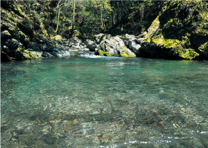 川上村さんぽみち