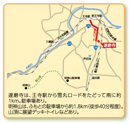 達磨寺地図
